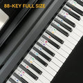 The leisurevivi™ - Removable Piano Keyboard Note Labels