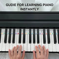 The leisurevivi™ - Removable Piano Keyboard Note Labels