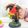 Electric Battery Operated Control Voice-Parrots