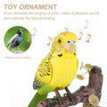 Electric Battery Operated Control Voice-Parrots