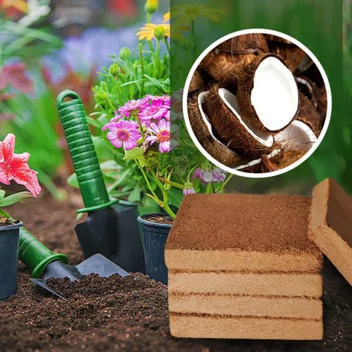 Mother's Day - 50% OFF💗Organic Coconut Coir for Plants-ONLY $14.99!!!